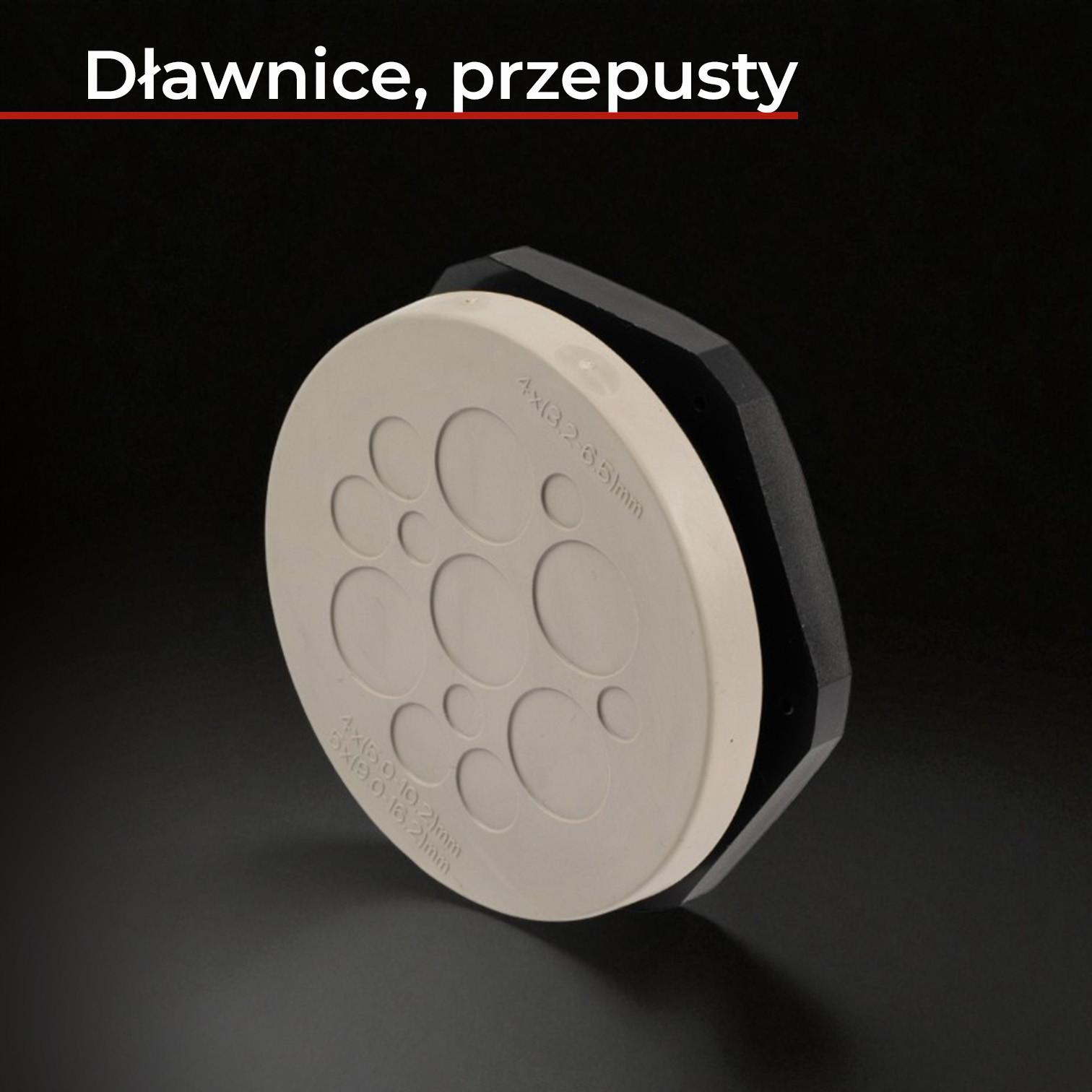 DlawiceiPrzepusty